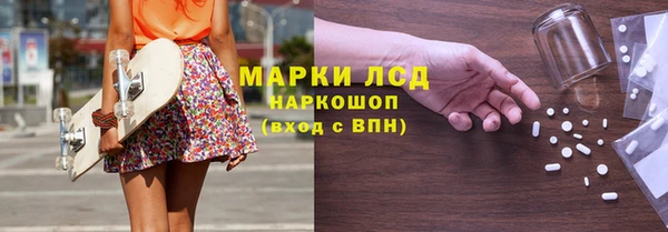 индика Белоозёрский