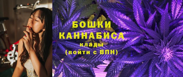 индика Белоозёрский