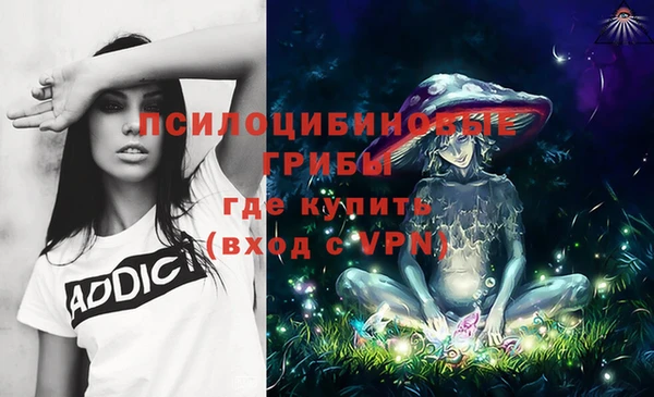 индика Белоозёрский