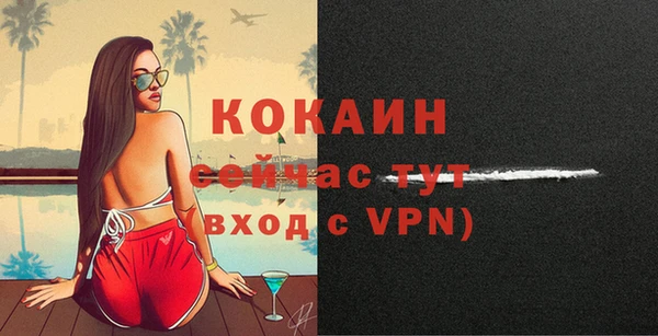индика Белоозёрский