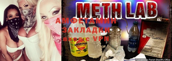 индика Белоозёрский
