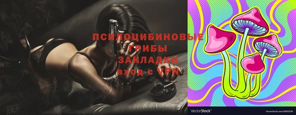 индика Белоозёрский