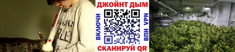 Каннабис индика  Первомайск 